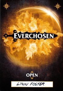 Everchosen Award Open category 3rd place